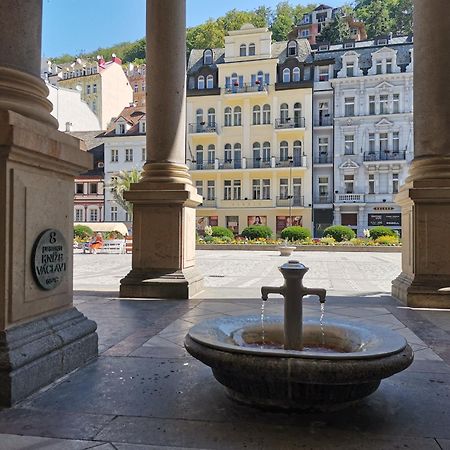 Ubytovani Ester - Utulny Byt V Lazenskem Centru Karlovych Varu Se Zahradkou Appartement Karlsbad Buitenkant foto