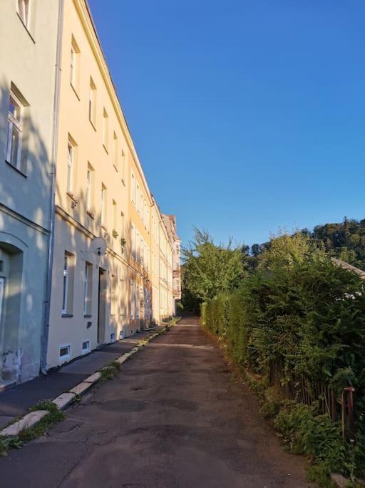Ubytovani Ester - Utulny Byt V Lazenskem Centru Karlovych Varu Se Zahradkou Appartement Karlsbad Buitenkant foto