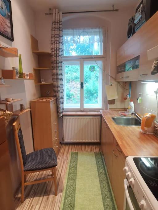 Ubytovani Ester - Utulny Byt V Lazenskem Centru Karlovych Varu Se Zahradkou Appartement Karlsbad Buitenkant foto