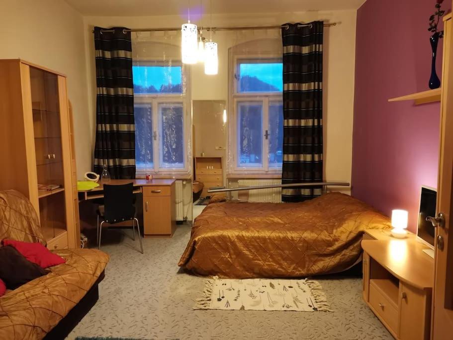 Ubytovani Ester - Utulny Byt V Lazenskem Centru Karlovych Varu Se Zahradkou Appartement Karlsbad Buitenkant foto